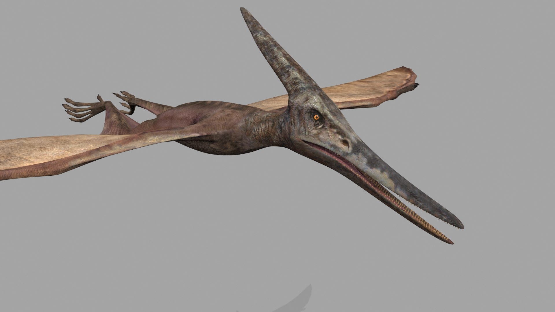 Dino Extra Pack 8K - fully animated 3D https://p.turbosquid.com/ts-thumb/87/Qb2MID/Gp/12/jpg/1686165289/1920x1080/fit_q87/dab5de9fc42eed1f86e0328fe933be8dde225eaa/12.jpg