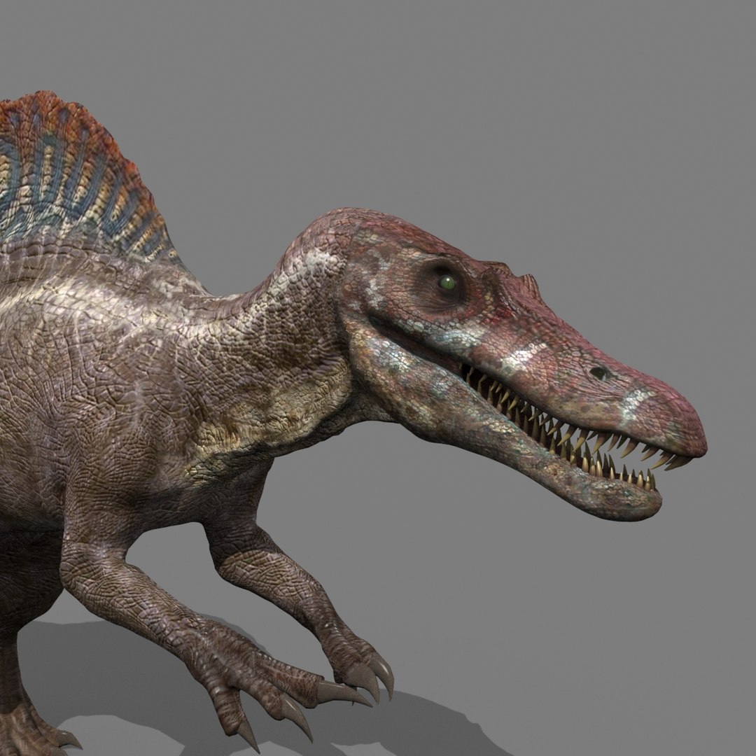 Dino Extra Pack 8K - fully animated 3D https://p.turbosquid.com/ts-thumb/87/Qb2MID/Hz/36/jpg/1686165326/1920x1080/fit_q87/0ec30a49af17ed02340a1217e92e6ee5e8a7c1a7/36.jpg