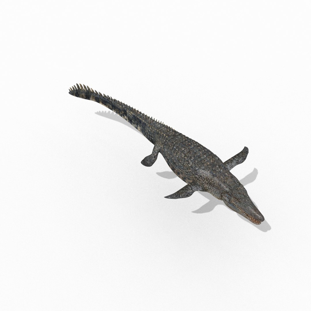 Dino Extra Pack 8K - fully animated 3D https://p.turbosquid.com/ts-thumb/87/Qb2MID/Mj/131/jpg/1686165706/1920x1080/fit_q87/cfaee4bc8f99382fab63a25bbb9228a3648398a2/131.jpg
