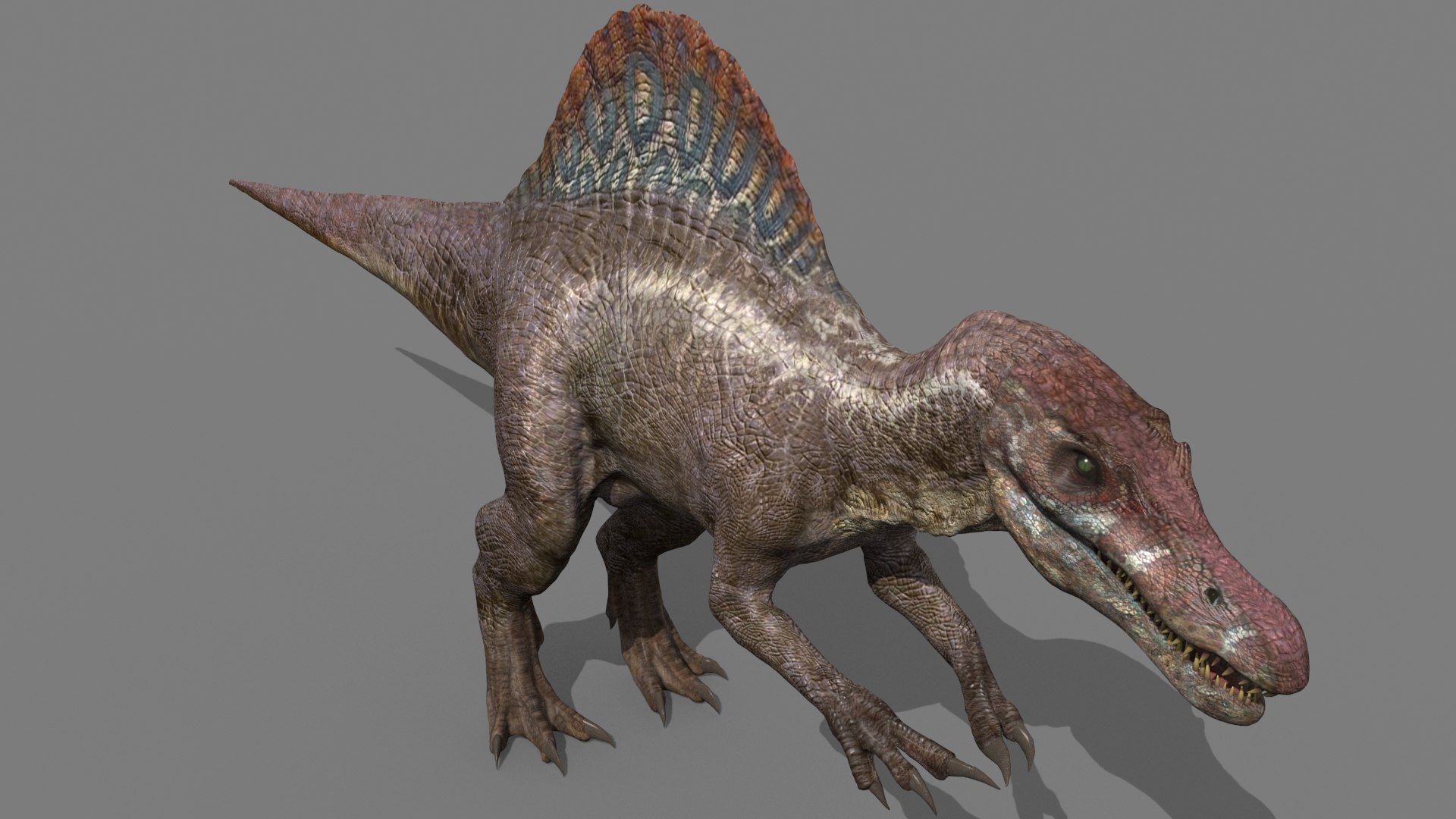 Dino Extra Pack 8K - fully animated 3D https://p.turbosquid.com/ts-thumb/87/Qb2MID/PW/34/jpg/1686165325/1920x1080/fit_q87/8c3b57401cb08fd7cd75cfc3216fd4c98053188b/34.jpg