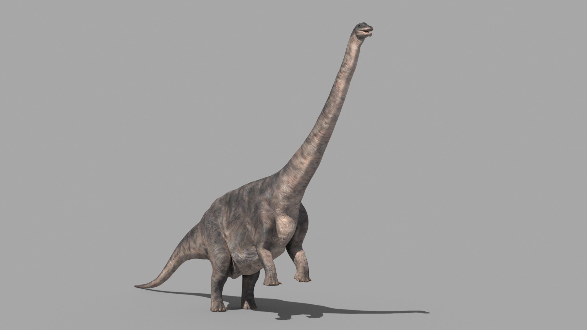 Dino Extra Pack 8K - fully animated 3D https://p.turbosquid.com/ts-thumb/87/Qb2MID/Qy/76/jpg/1686165566/1920x1080/fit_q87/7f6d62781501b64fec5fb90d21c672074a749e9f/76.jpg