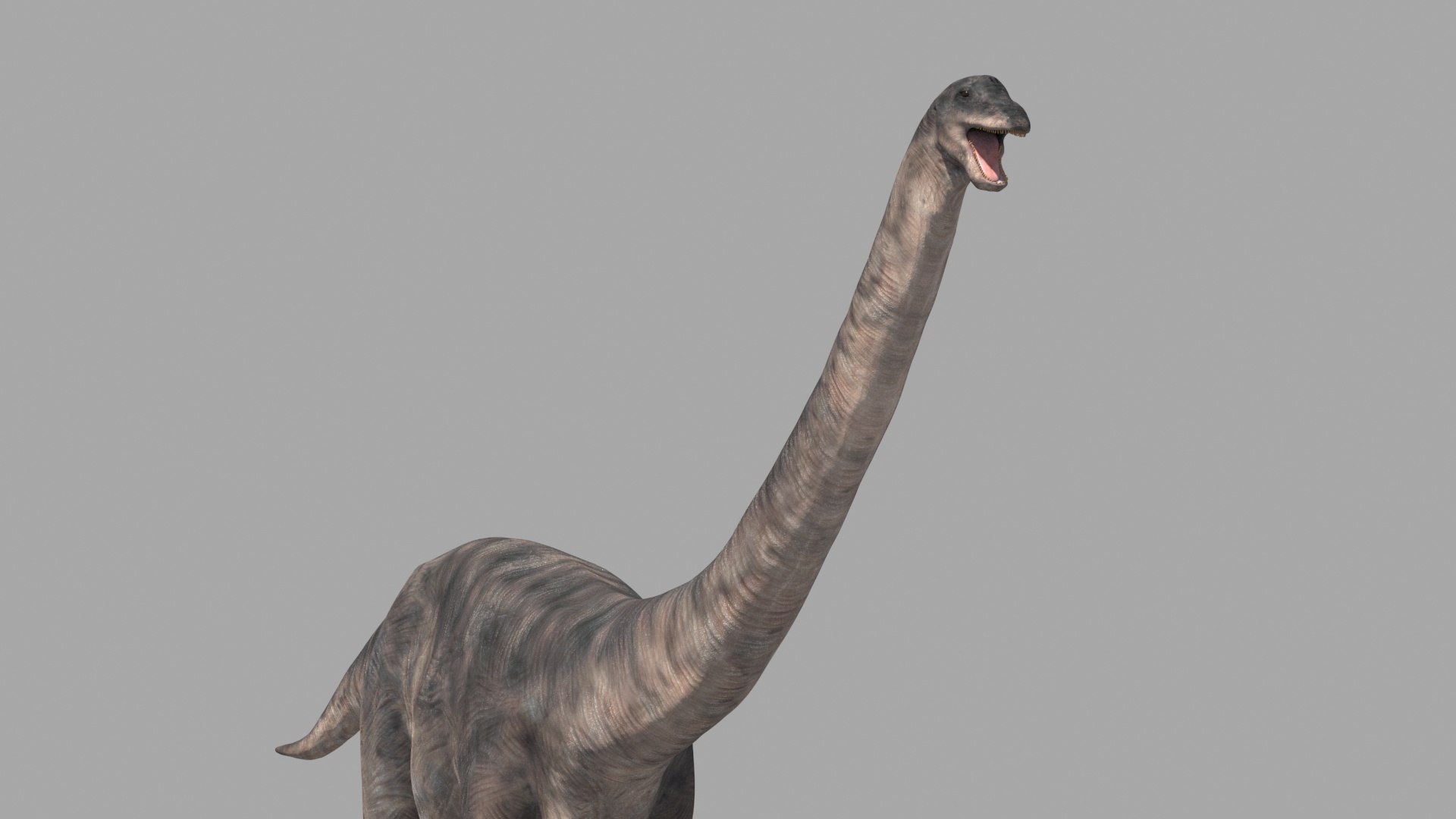 Dino Extra Pack 8K - fully animated 3D https://p.turbosquid.com/ts-thumb/87/Qb2MID/TQ/82/jpg/1686165569/1920x1080/fit_q87/b015c3b01be9df3fd3cb8370c2374022487f0fb6/82.jpg