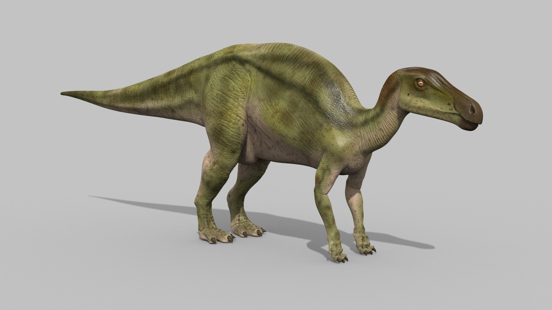 Dino Extra Pack 8K - fully animated 3D https://p.turbosquid.com/ts-thumb/87/Qb2MID/X4/4/jpg/1687799728/1920x1080/fit_q87/e9e511d82d3c4becb8fab7cafdf088408ae882f8/4.jpg