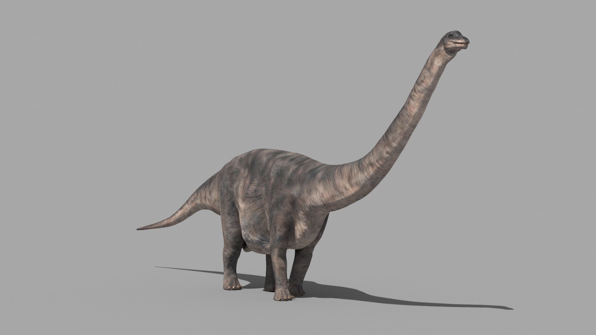 Dino Extra Pack 8K - fully animated 3D https://p.turbosquid.com/ts-thumb/87/Qb2MID/XP/74/jpg/1686165565/1920x1080/fit_q87/5d87d6075fe30533500cc36137929ccceb1bc2ce/74.jpg