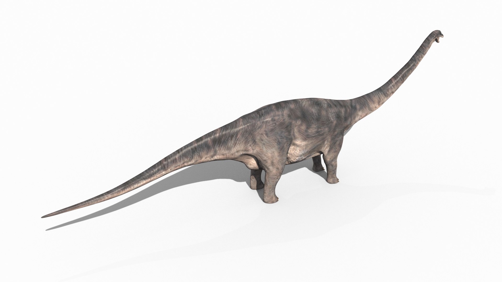 Dino Extra Pack 8K - fully animated 3D https://p.turbosquid.com/ts-thumb/87/Qb2MID/fo/78/jpg/1686165567/1920x1080/fit_q87/fd3326e832d40562d790d73ed27531114cc04e83/78.jpg