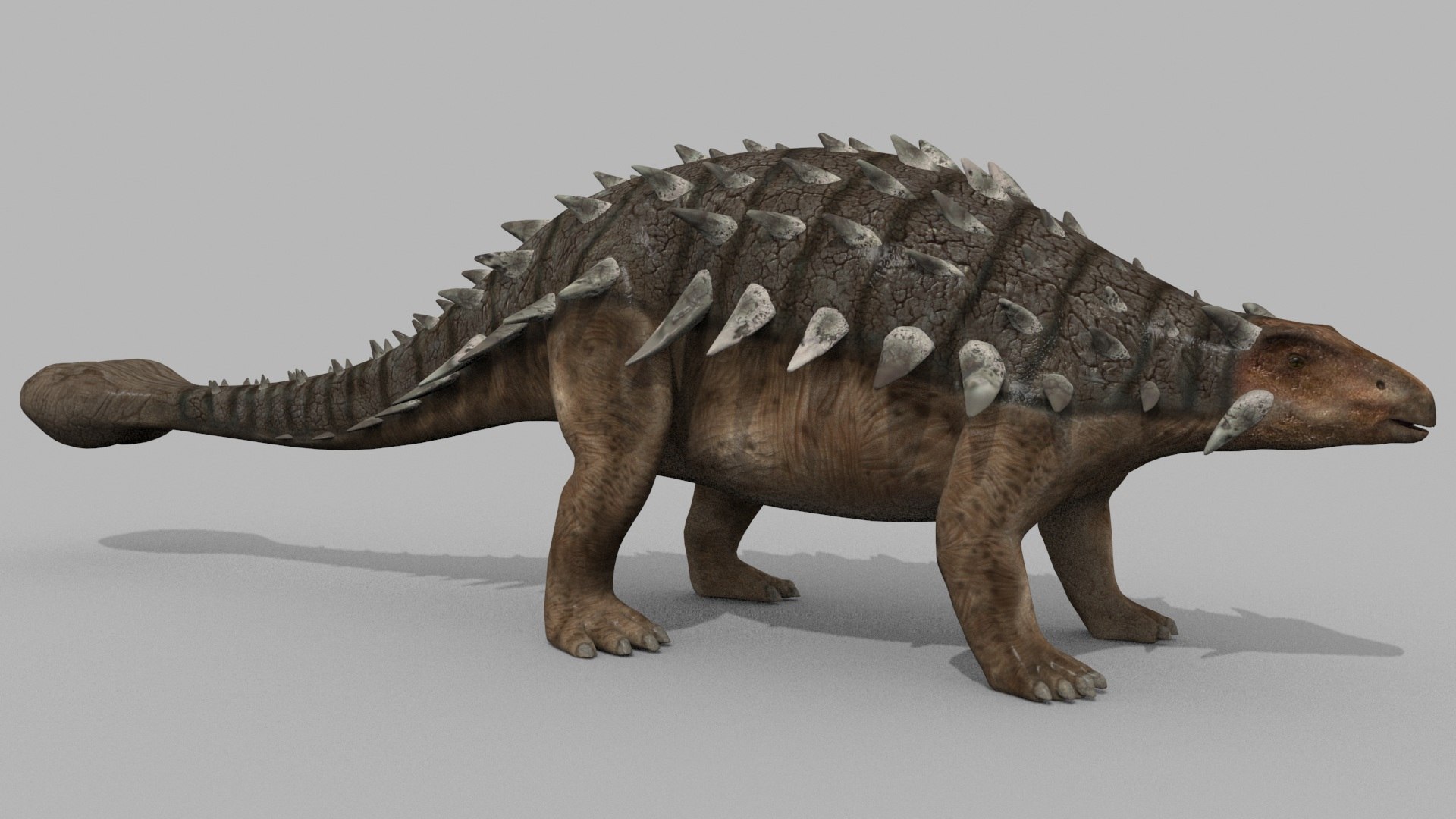 Dino Extra Pack 8K - fully animated 3D https://p.turbosquid.com/ts-thumb/87/Qb2MID/fu/54/jpg/1686165449/1920x1080/fit_q87/172ac0505aa1236def63c4012cd686a28f98c9d5/54.jpg
