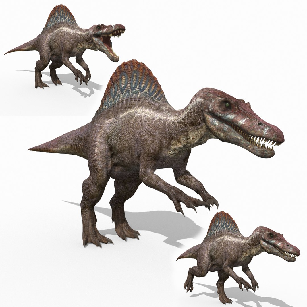 Dino Extra Pack 8K - fully animated 3D https://p.turbosquid.com/ts-thumb/87/Qb2MID/gg/44/jpg/1686165331/1920x1080/fit_q87/69d0a9b48e355ff49748aaa19f1ef89e14f25a18/44.jpg