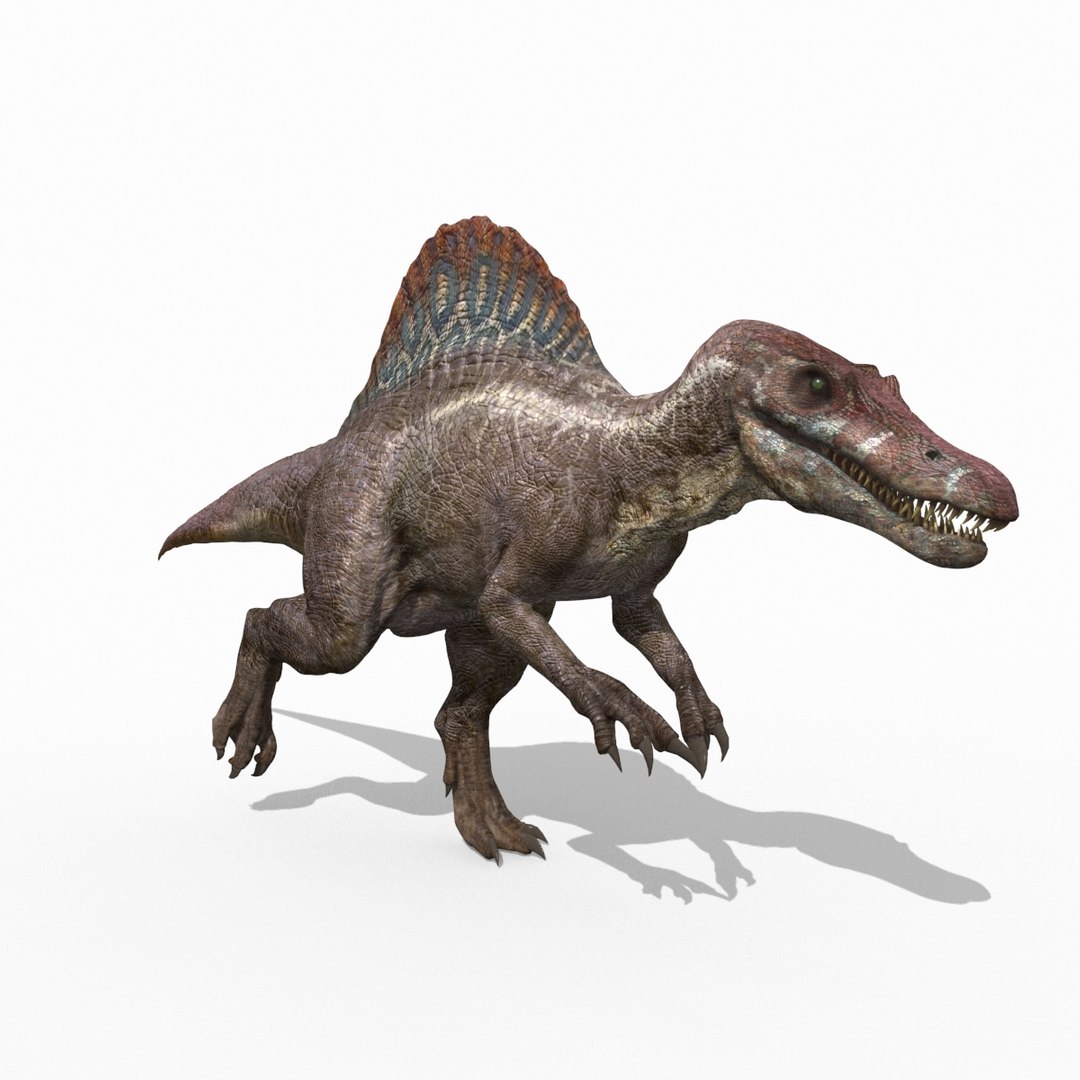 Dino Extra Pack 8K - fully animated 3D https://p.turbosquid.com/ts-thumb/87/Qb2MID/ld/38/jpg/1686165327/1920x1080/fit_q87/8f22e0e439754bdc45814af98e167d6d62409fd3/38.jpg