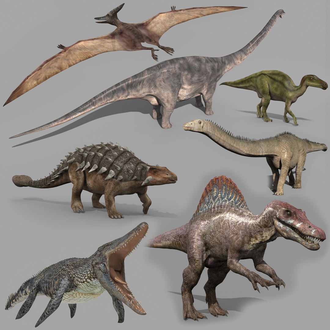 Dino Extra Pack 8K - fully animated 3D https://p.turbosquid.com/ts-thumb/87/Qb2MID/oW/0dinoextraup/jpg/1687735601/1920x1080/fit_q87/3ca5247f7d4815f3796b91b248e13f6738762a50/0dinoextraup.jpg