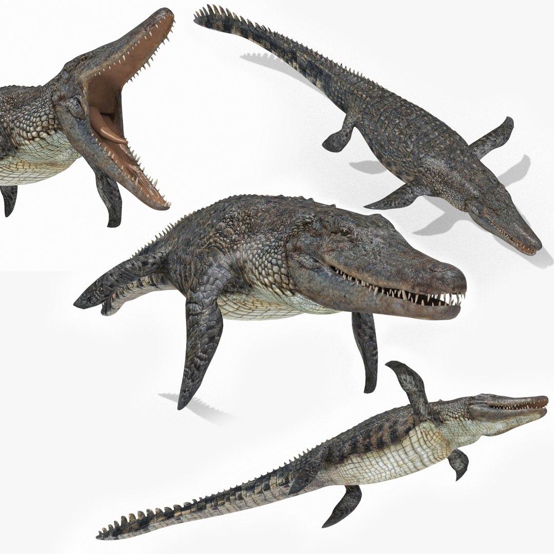 Dino Extra Pack 8K - fully animated 3D https://p.turbosquid.com/ts-thumb/87/Qb2MID/r9/124/jpg/1686165705/1920x1080/fit_q87/9227e7a4e9fd7577df337870fbe7f53218954f30/124.jpg