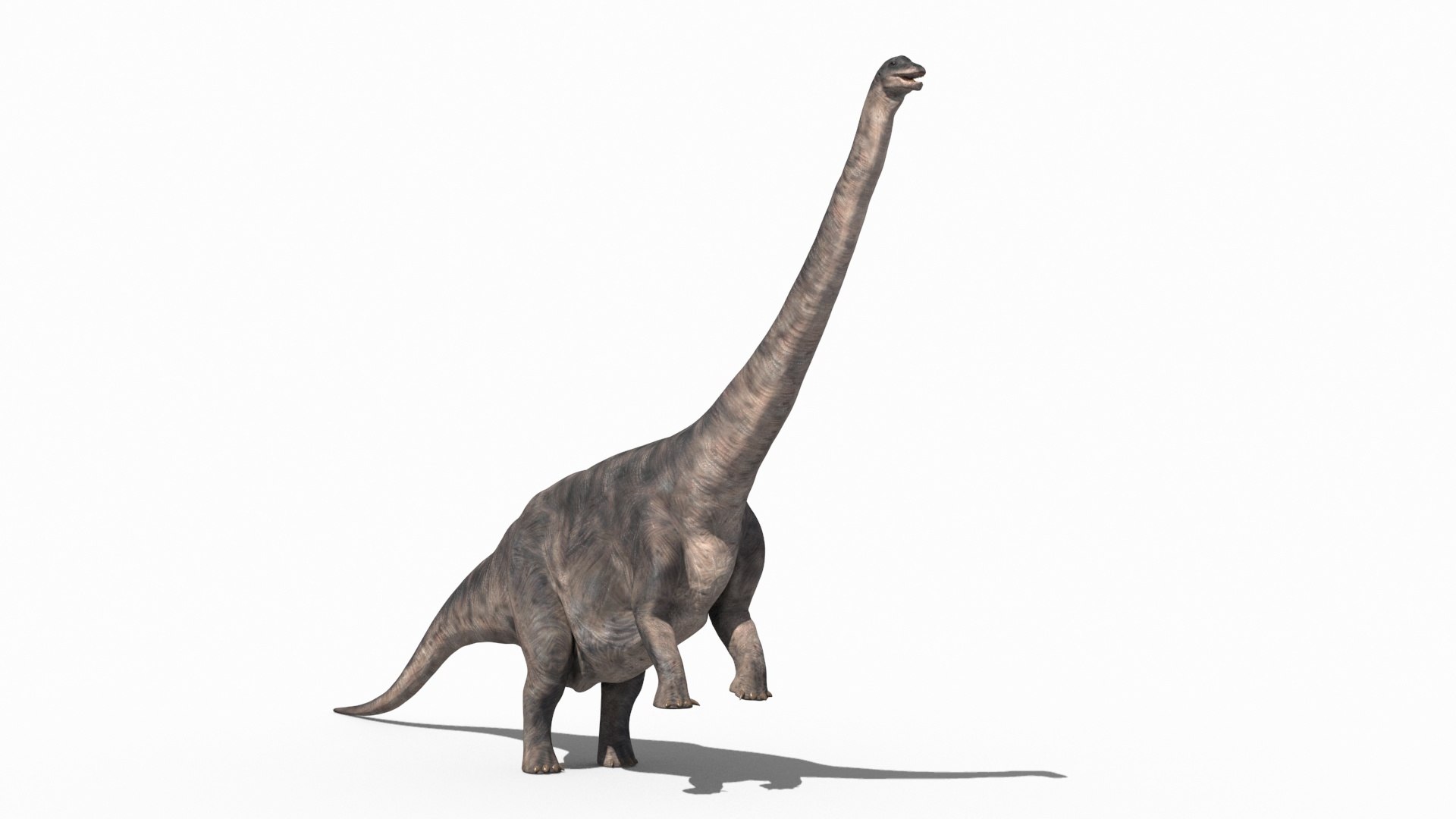 Dino Extra Pack 8K - fully animated 3D https://p.turbosquid.com/ts-thumb/87/Qb2MID/sK/75/jpg/1686165566/1920x1080/fit_q87/1929e879ded3c220503252fffc573b03fcff4984/75.jpg