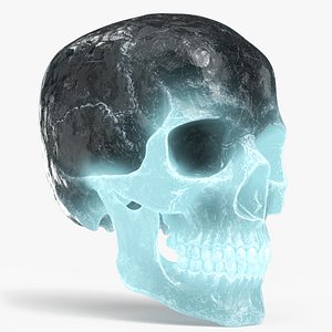 Human Skull Sci-fi Ice 3D