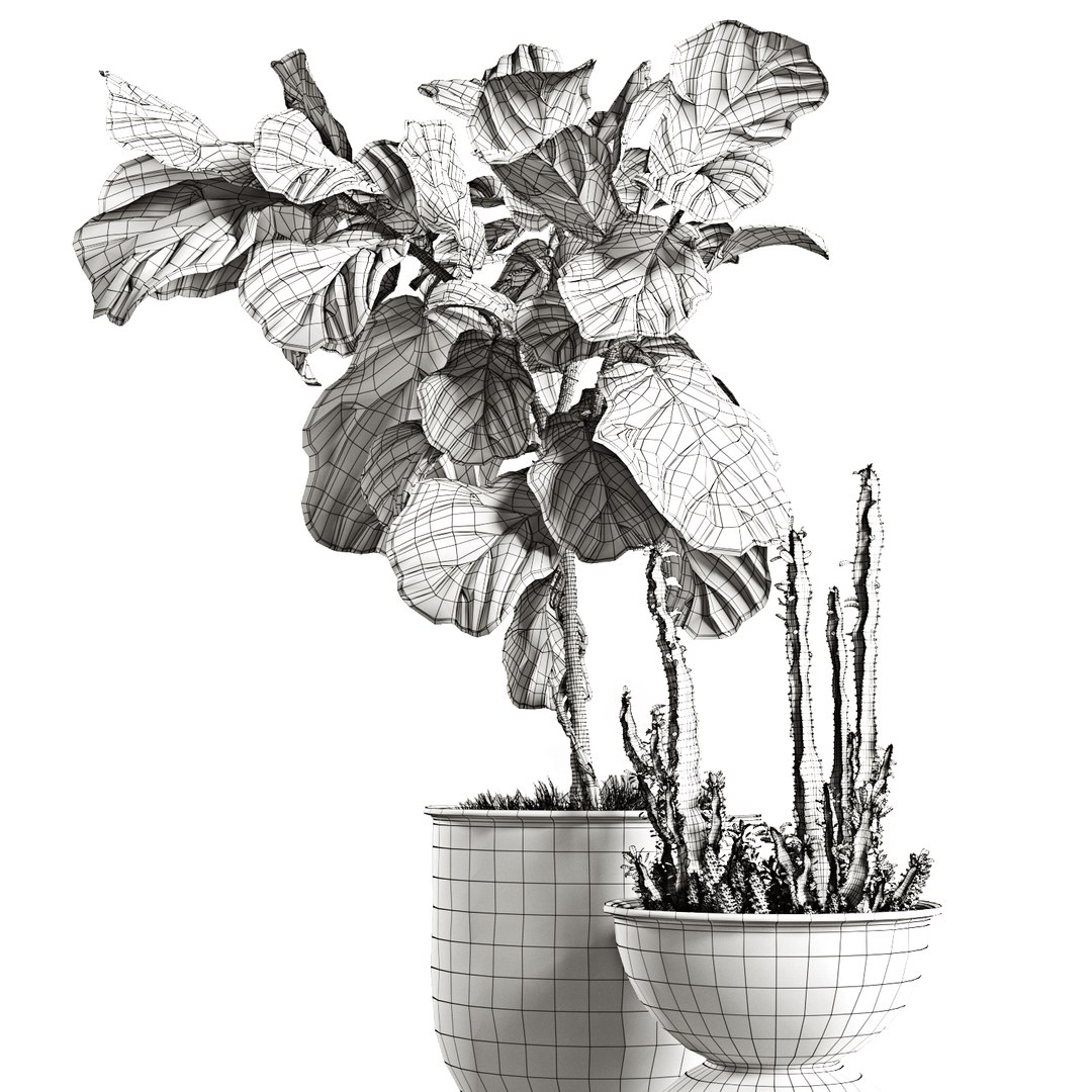 ficus pots 3D model https://p.turbosquid.com/ts-thumb/87/ivIgKx/E7ppylrm/9/jpg/1581410773/1920x1080/fit_q87/7fcf405a27ca82afdcf40dcba001c08643fbf942/9.jpg