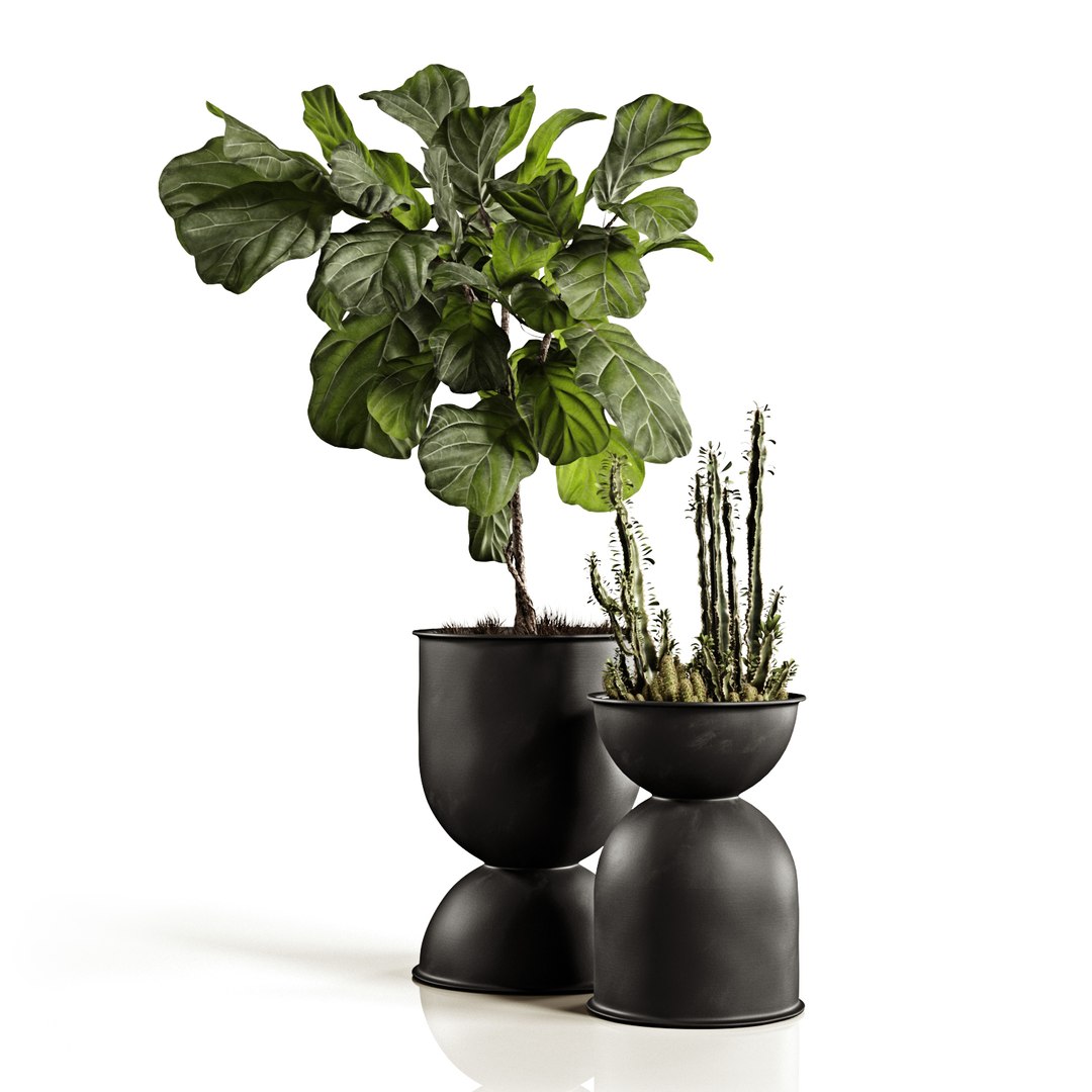 ficus pots 3D model https://p.turbosquid.com/ts-thumb/87/ivIgKx/OpCszDg3/1/jpg/1581410773/1920x1080/fit_q87/f2494d82a5a3cfa812e9573c247ad66f257de5e8/1.jpg