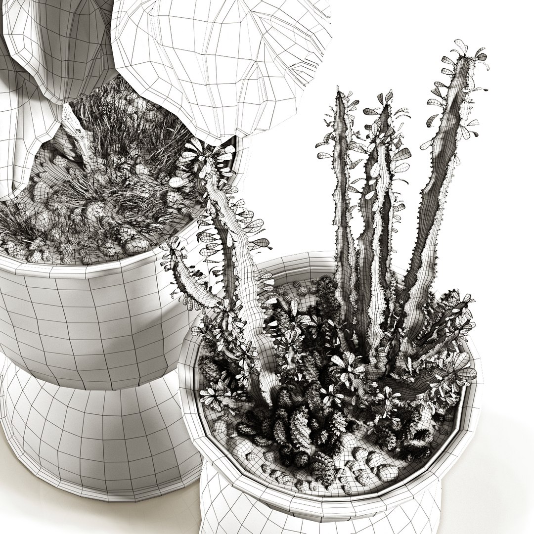ficus pots 3D model https://p.turbosquid.com/ts-thumb/87/ivIgKx/Xwq2kUvK/6/jpg/1581410773/1920x1080/fit_q87/4280bcc77dcd18bc285bc7e24df8f1fe1f65b0f9/6.jpg