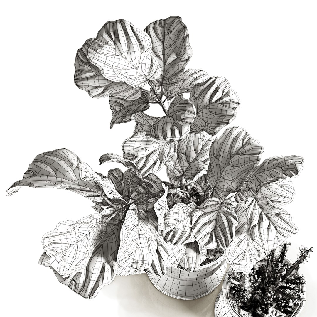 ficus pots 3D model https://p.turbosquid.com/ts-thumb/87/ivIgKx/e82IDCND/8/jpg/1581410773/1920x1080/fit_q87/858fc288dfe6eb1f4e9501025e8df96398ac23af/8.jpg