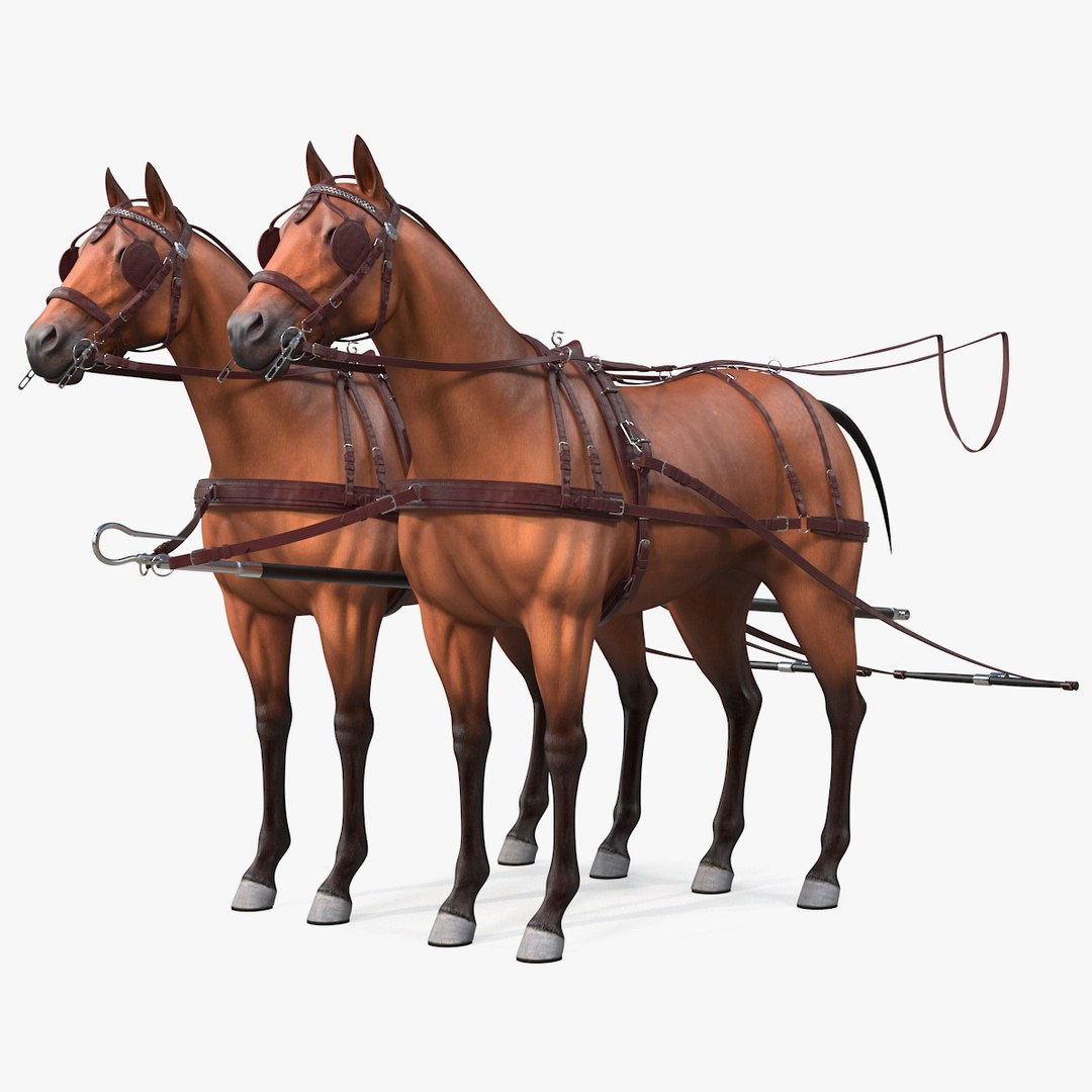Pair of Breast Collar Harness 3D model preview