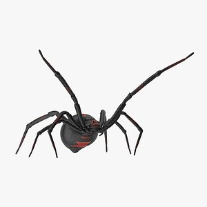 agressive black widow 3d model
