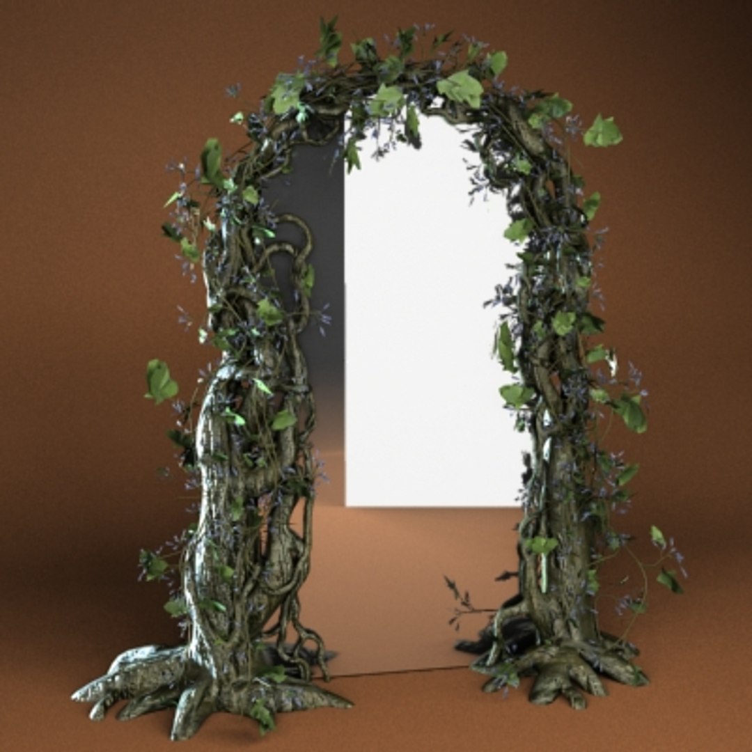 Mirror Frame Max