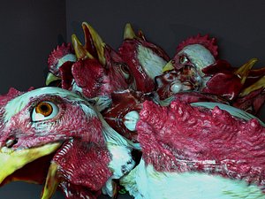Chicken head(1)