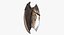 Bayek Shield - Fan Art