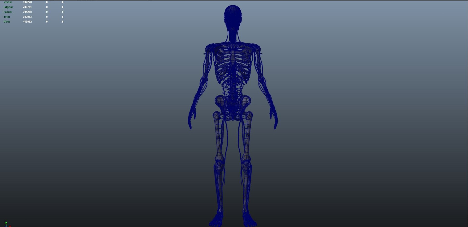 Skeleton Veins 3D Model - TurboSquid 1218004