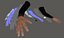 Arm