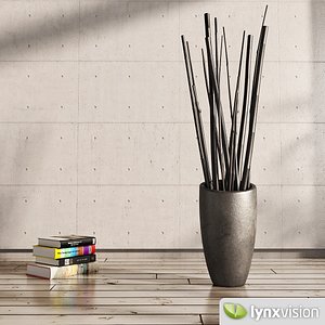 Vase with reeds