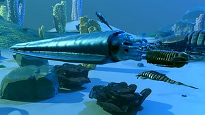 3D Gonioceras