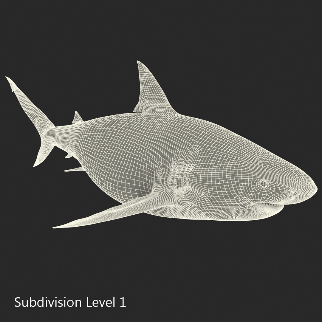 pigeye shark 3d max https://p.turbosquid.com/ts-thumb/89/3HbI2b/9N0pu5AE/pigeyeshark3dmodel24/jpg/1445429511/1920x1080/fit_q87/dfe8924b146364044adbaa509b56d227bbc79106/pigeyeshark3dmodel24.jpg