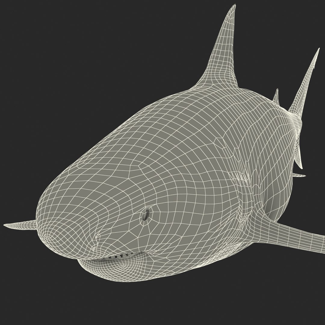 pigeye shark 3d max https://p.turbosquid.com/ts-thumb/89/3HbI2b/BSxhcYBL/pigeyeshark3dmodel36/jpg/1445429512/1920x1080/fit_q87/d6c6b5186d995d2af312ef3cd4200e13571539e4/pigeyeshark3dmodel36.jpg