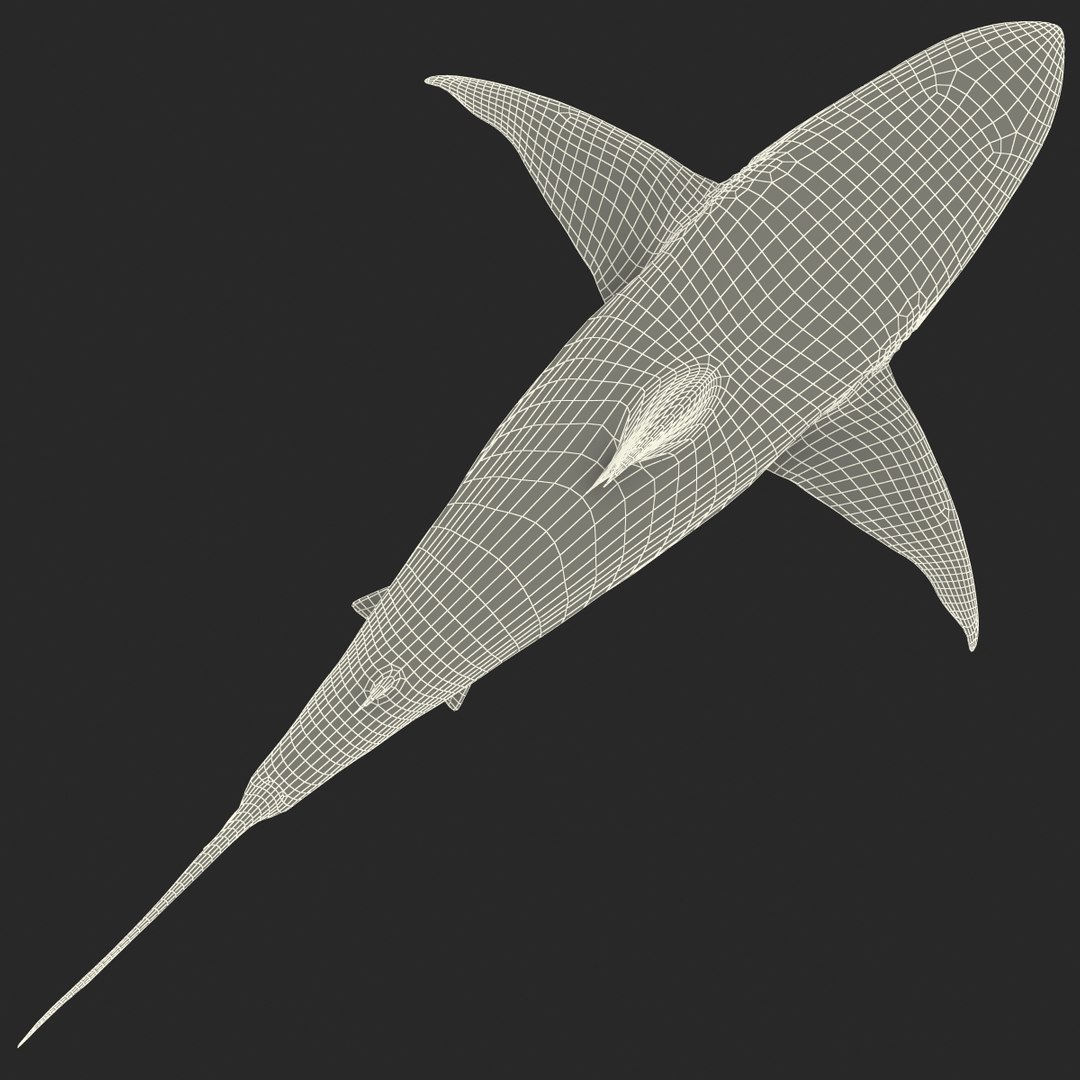 pigeye shark 3d max https://p.turbosquid.com/ts-thumb/89/3HbI2b/EwirtTJX/pigeyeshark3dmodel31/jpg/1445429512/1920x1080/fit_q87/e4aafab0b947fb88ff8cb78f15563df701f5db79/pigeyeshark3dmodel31.jpg