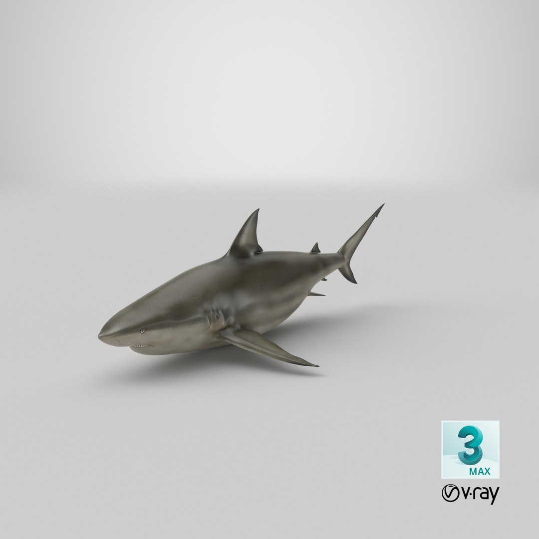 pigeye shark 3d max https://p.turbosquid.com/ts-thumb/89/3HbI2b/NU/stemcell_max_vray_render/png/1683491080/1920x1080/fit_q87/1dc9d37492954a385b1b66ae4da6d63ae8edea95/stemcell_max_vray_render.jpg