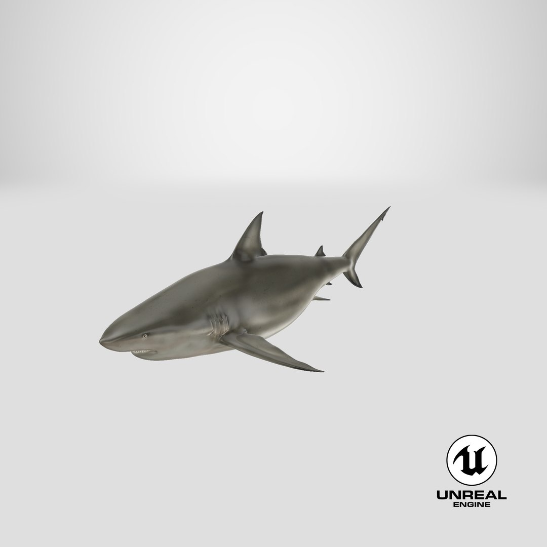 pigeye shark 3d max https://p.turbosquid.com/ts-thumb/89/3HbI2b/YJ/stemcell_unreal_render/png/1683491083/1920x1080/fit_q87/c533503ccd61c94cdf7b1709a39c4287c32b8e8c/stemcell_unreal_render.jpg