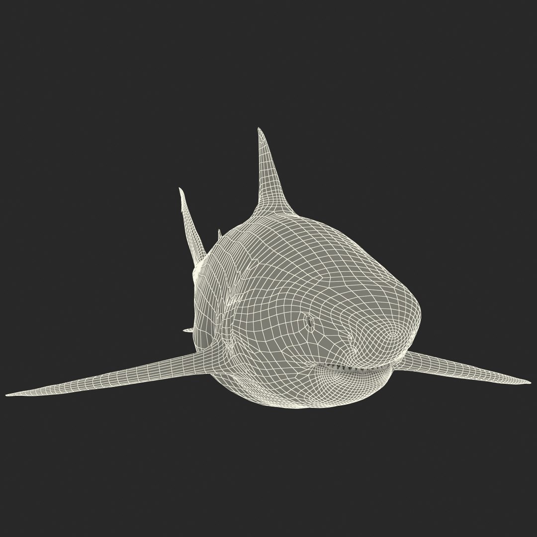 pigeye shark 3d max https://p.turbosquid.com/ts-thumb/89/3HbI2b/ZJlkvDY3/pigeyeshark3dmodel30/jpg/1445429512/1920x1080/fit_q87/2c4df526dfda22002f7f066d0ce3f3ae367c530c/pigeyeshark3dmodel30.jpg