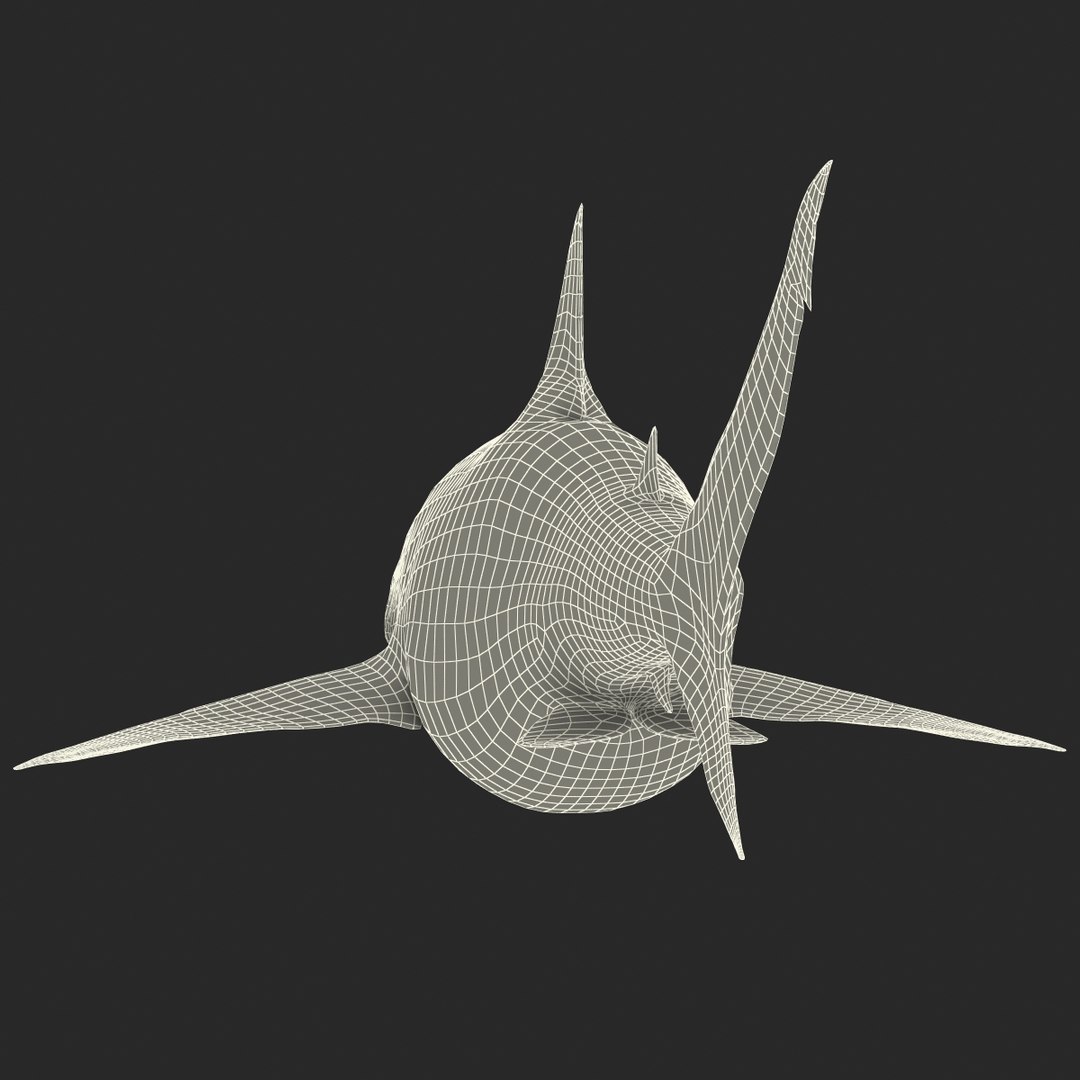 pigeye shark 3d max https://p.turbosquid.com/ts-thumb/89/3HbI2b/diYIehNc/pigeyeshark3dmodel29/jpg/1445429511/1920x1080/fit_q87/56d159d2d1d19de5f8cab8448605bd2c6d6b108a/pigeyeshark3dmodel29.jpg