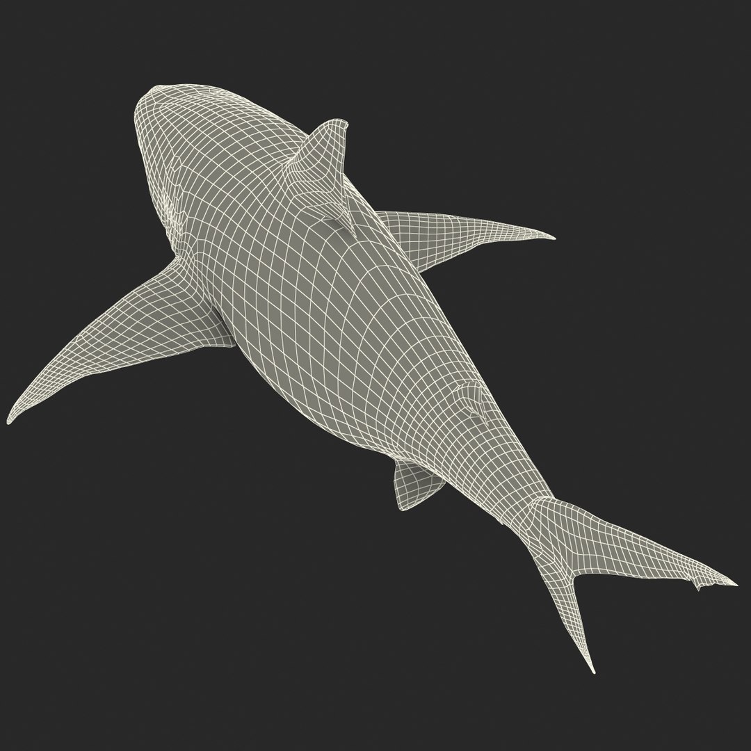 pigeye shark 3d max https://p.turbosquid.com/ts-thumb/89/3HbI2b/qNPEwgJs/pigeyeshark3dmodel32/jpg/1445429512/1920x1080/fit_q87/5bccebb1722572ccdf5e2cde7cab59fd4f28ae13/pigeyeshark3dmodel32.jpg