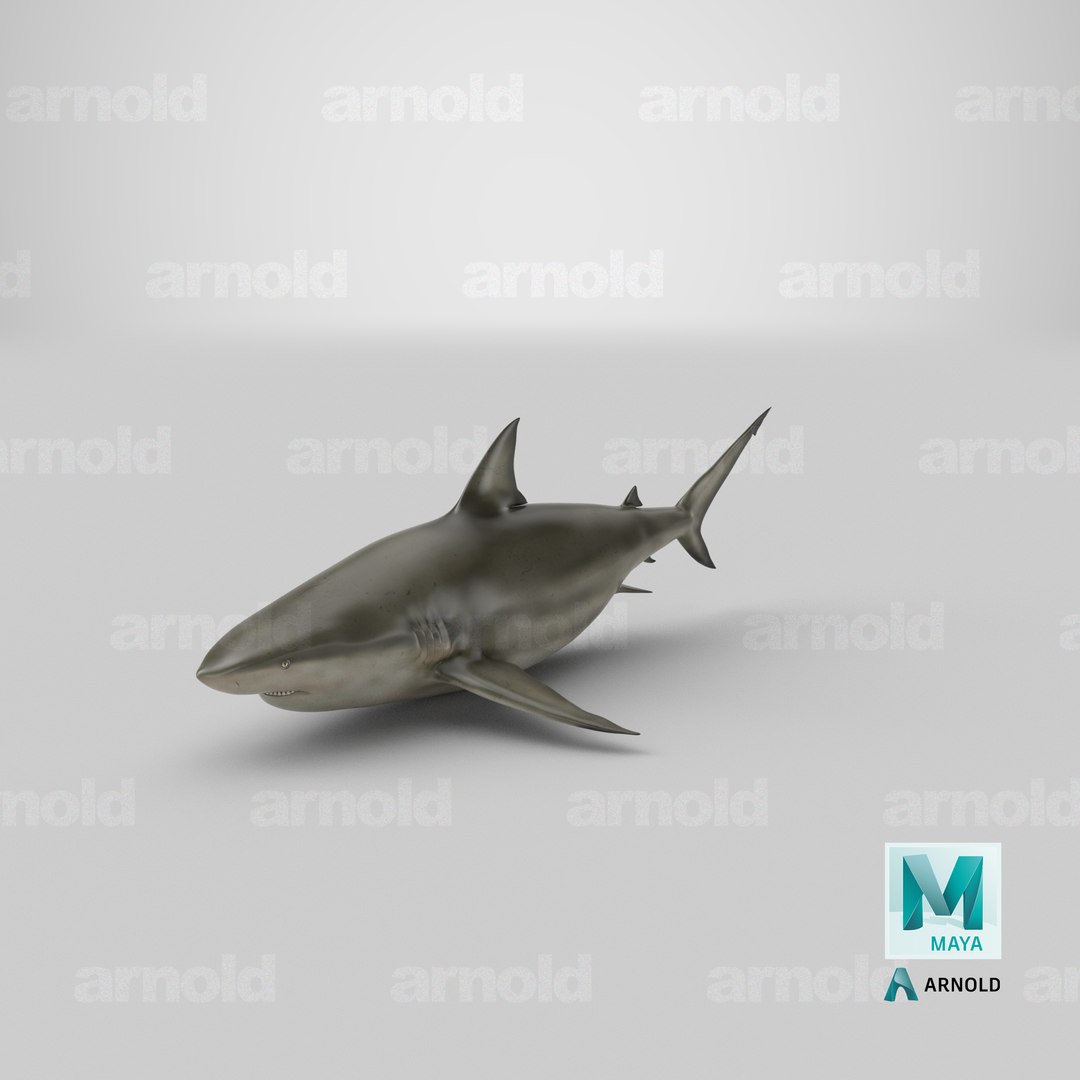 pigeye shark 3d max https://p.turbosquid.com/ts-thumb/89/3HbI2b/rE/stemcell_maya_arnold_render/png/1683491078/1920x1080/fit_q87/cf65e49b4a5d7776086995ed6fb5b04b559525db/stemcell_maya_arnold_render.jpg