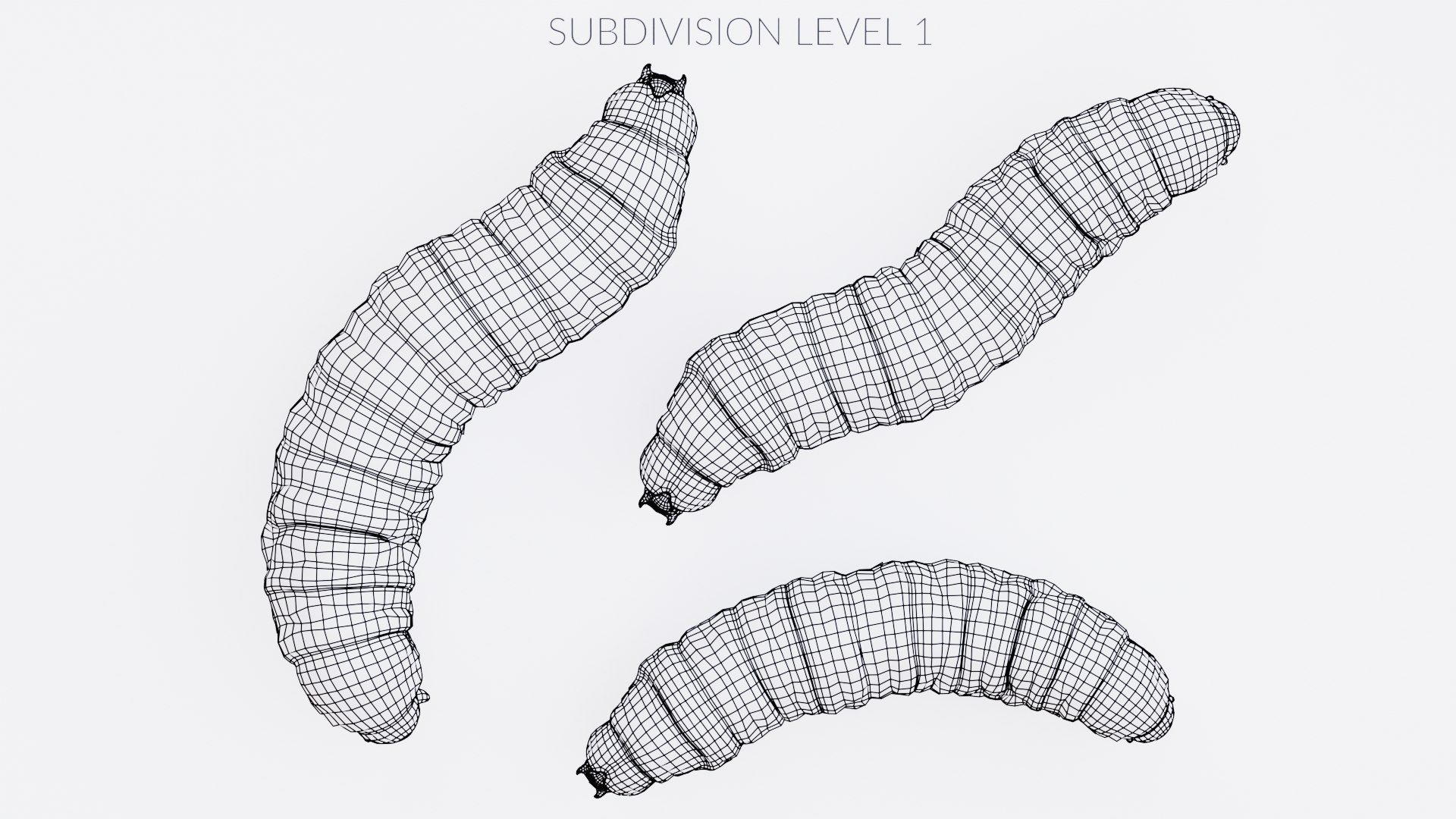 3D model Wax Worms https://p.turbosquid.com/ts-thumb/89/BimUZJ/8B/awaxwormsw3/png/1693299949/1920x1080/fit_q87/9c525bd4a14abfb2fb0d178f60d5c1f41dd72fdf/awaxwormsw3.jpg