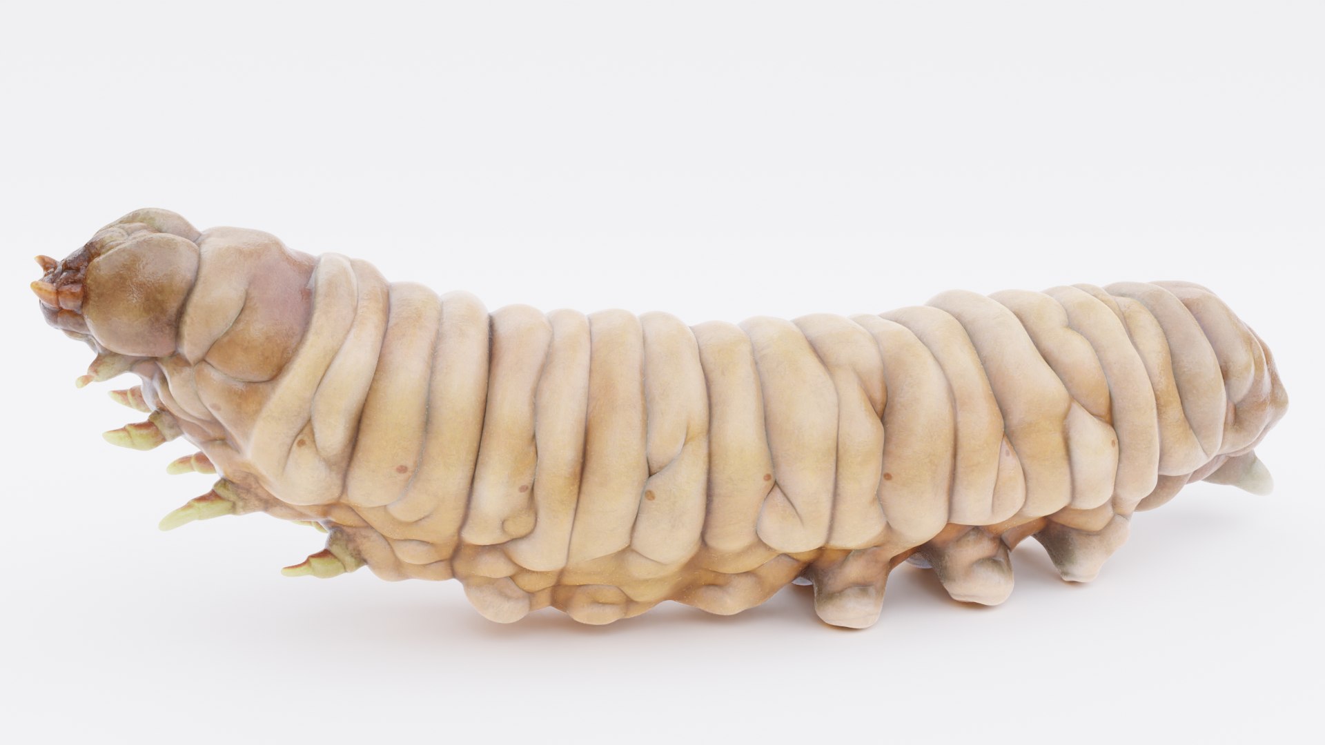3D model Wax Worms https://p.turbosquid.com/ts-thumb/89/BimUZJ/lj/waxwormp/png/1693299976/1920x1080/fit_q87/a1949b7cde7c84b9ad3009c739f3514000f5fdd2/waxwormp.jpg
