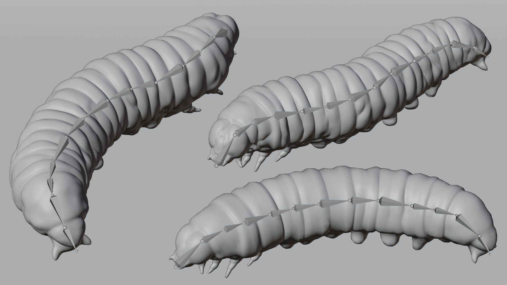 3D model Wax Worms https://p.turbosquid.com/ts-thumb/89/BimUZJ/tS/awaxwormszrigs/png/1693299951/1920x1080/fit_q87/211b64a228885734902e94bde12b11e2ed3812c6/awaxwormszrigs.jpg