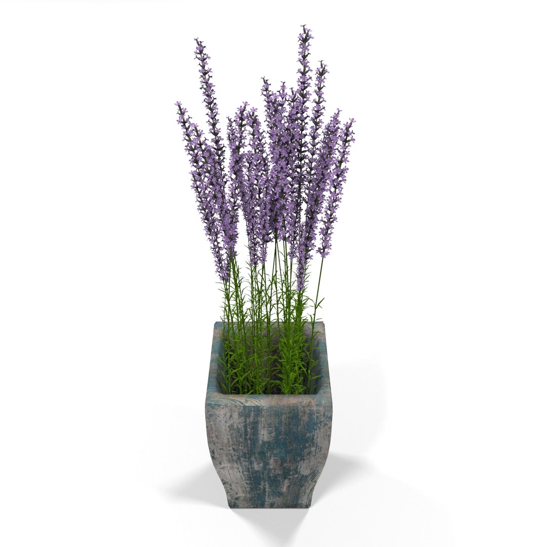 3d Model Lavander Wooden Plant Pot - Turbosquid 1596060