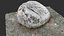 Rock 3d scan