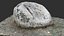 Rock 3d scan