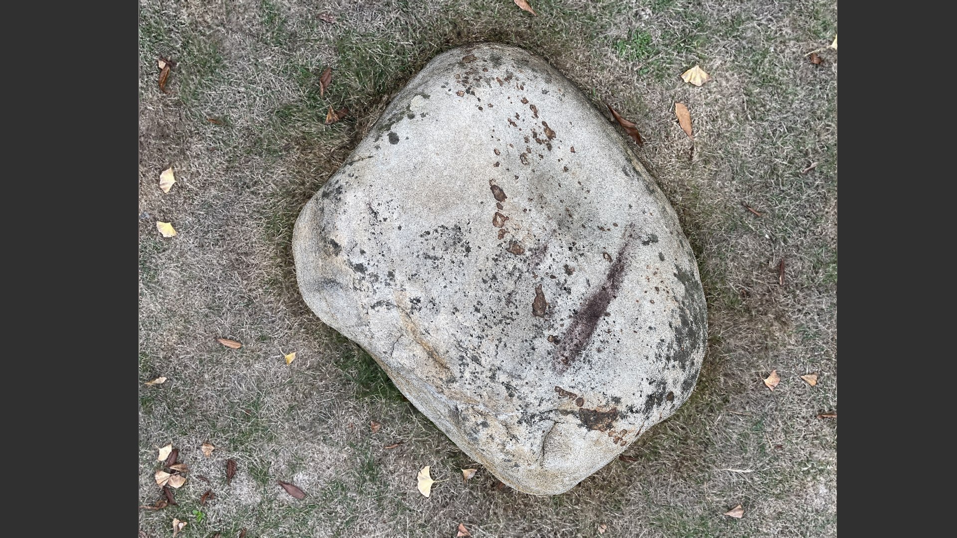 Rock 3d scan 3D model https://p.turbosquid.com/ts-thumb/8A/6VEsKm/r2/stone02_scr07/jpg/1669172566/1920x1080/fit_q87/0108409e00832a67a13dcb5b4388d93a0a2e7cad/stone02_scr07.jpg