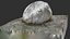 Rock 3d scan