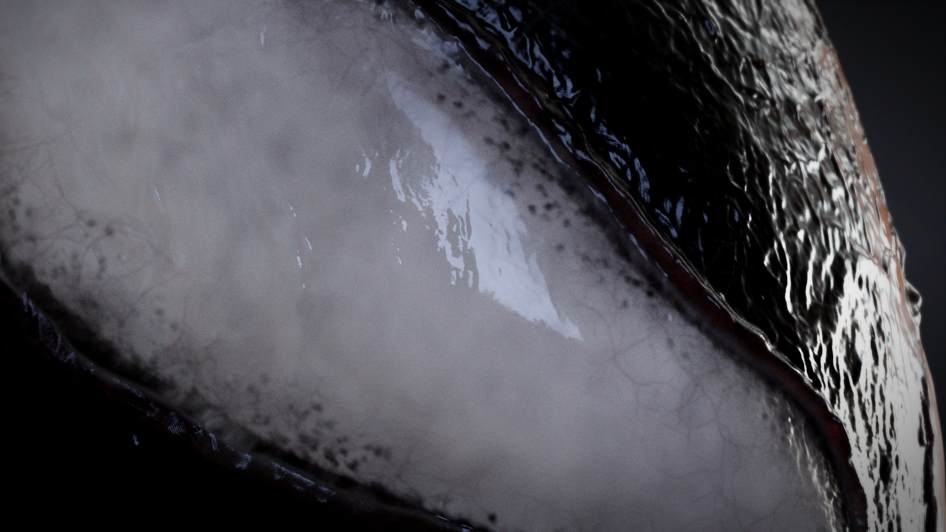 3D HQ Venom Bust model https://p.turbosquid.com/ts-thumb/8A/OldD4v/8L/s5copy/jpg/1760770836/1920x1080/fit_q87/2e32f6cd25248162c46125f18b3e2b4e179856b9/s5copy.jpg