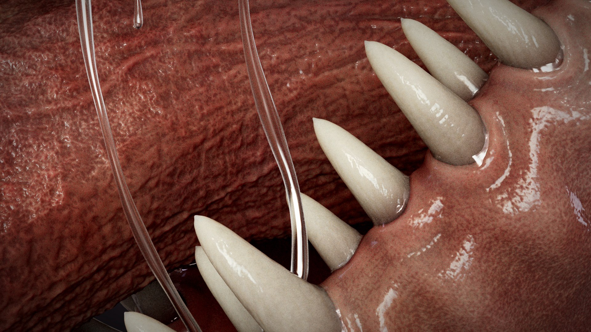 3D HQ Venom Bust model https://p.turbosquid.com/ts-thumb/8A/OldD4v/t0/s22copy/jpg/1760770860/1920x1080/fit_q87/2ae9b132532af6e91a28ef1e6d44c419c9c27d89/s22copy.jpg