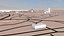 Jeddah 3d CIty Street Map Arabia Saudyjska