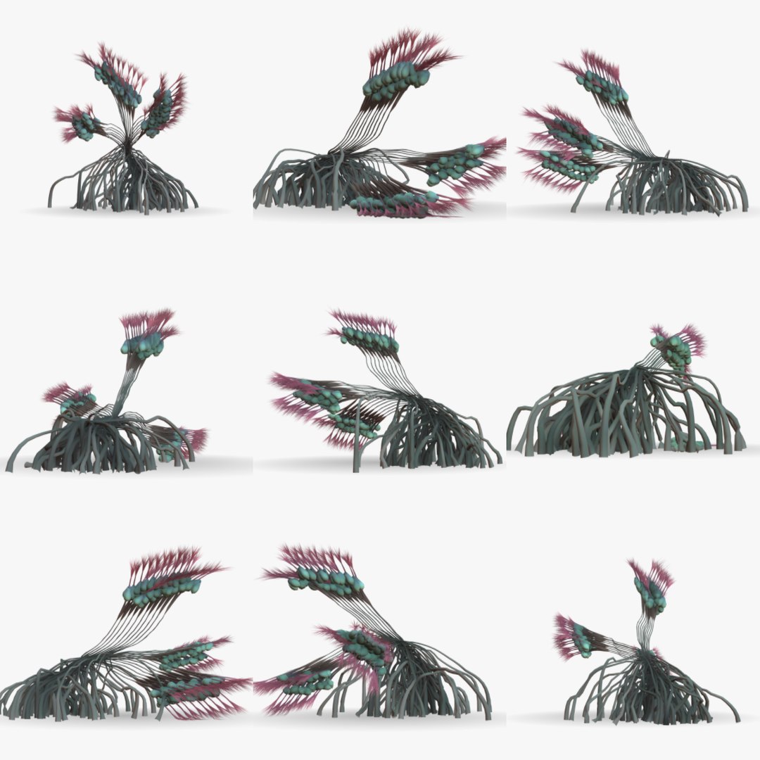 Alien Plants Set 003 3D Model - TurboSquid 2129901